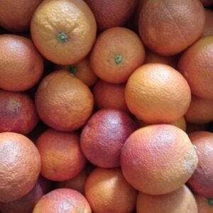 arance da succo Tarocco