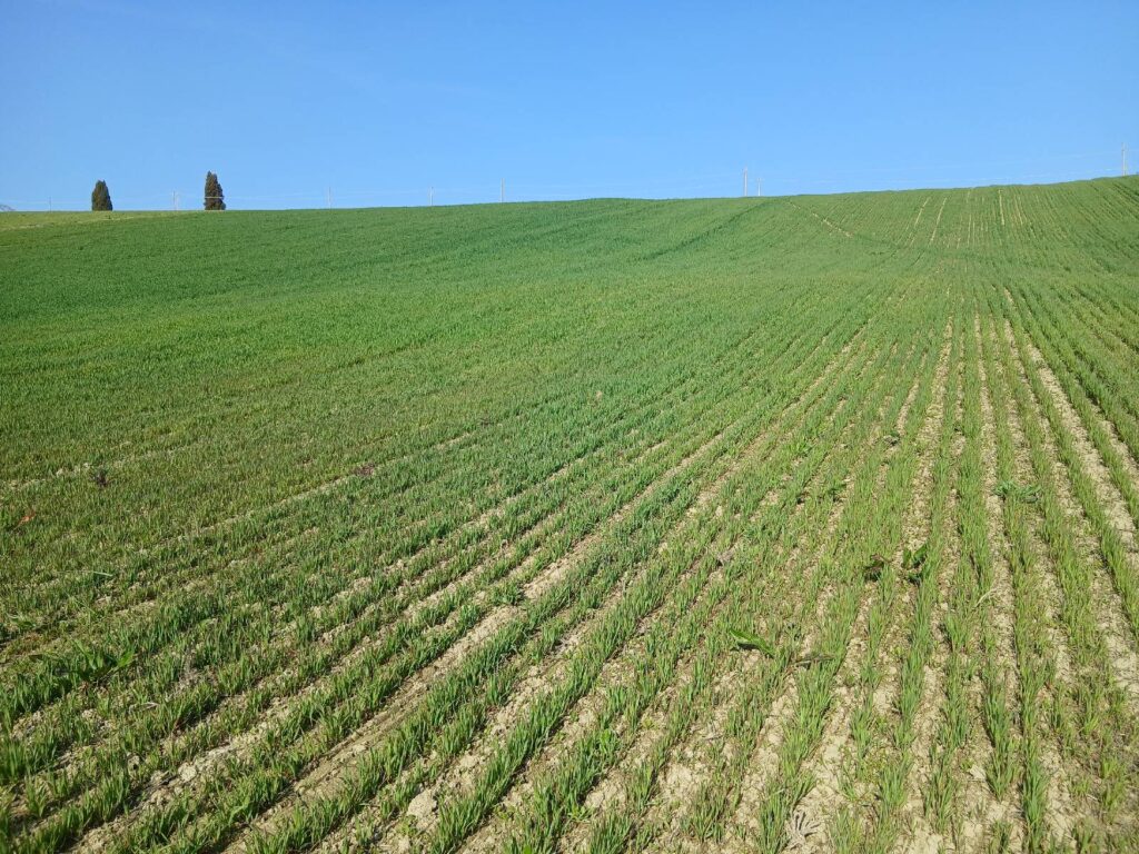 az. agricola biologica Manizza