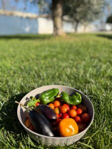 Az Agricola Candi Giuseppe