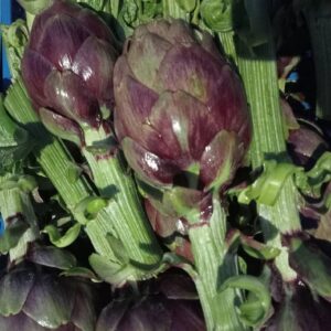 carciofo violetto a capolino singolo
